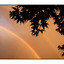 Rainbow 2010b - Nature Images