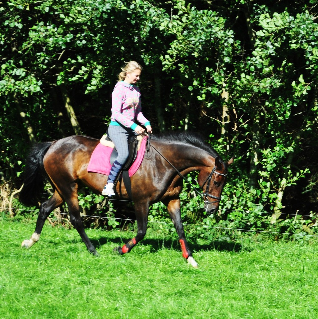 Rijden met betty 193 - 