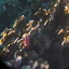 afbeeldingen-brayka-bay-1-335 - Rode Zee