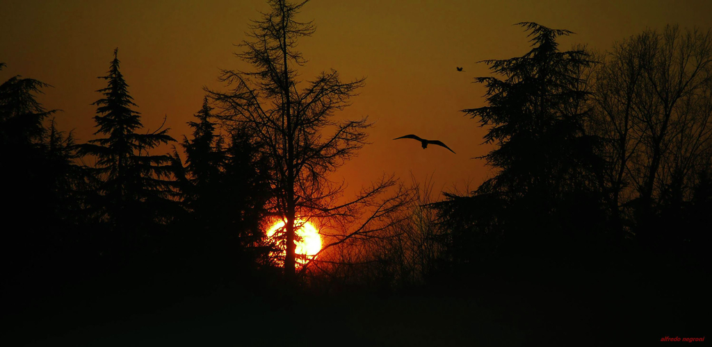 tramonto 2 - 
