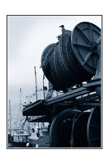 cyan docks 35mm photos