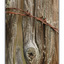 Fence post - Close-Up Photography