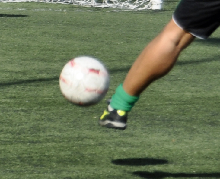 'particolare  prime speramze 2 - 