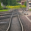 T02601 Gernrode - 20100909 Harz