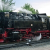 T02647 997239 Gernrode - 20100910 Harz