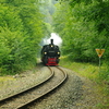 T02648 995906 Eisfelder Tal... - 20100911 Harz