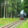 T02656 997235 Elend - 20100915 Harz