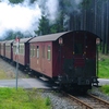 T02658 997235 Elend - 20100915 Harz