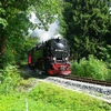 T02661 997245 Elend - 20100915 Harz