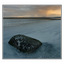 Rock at Point Holmes - Landscapes