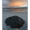 Seaweed Rock - Landscapes