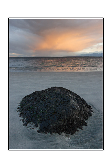 Seaweed Rock Landscapes