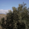 IMGP1901 - Spain 2008