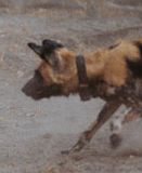 132054200-61ecb0f1-92d6-4532-8959-244152180435 - 