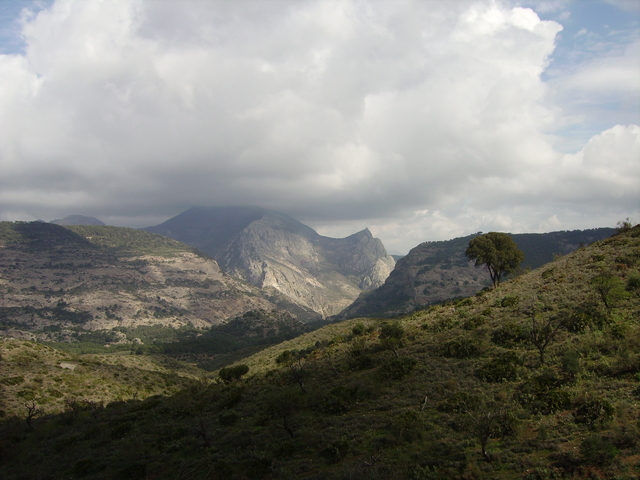 IMGP1947 Spain 2008