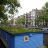 P1180355 - amsterdam