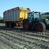 fendt favorit 716 bekkers (2) - mais 2010