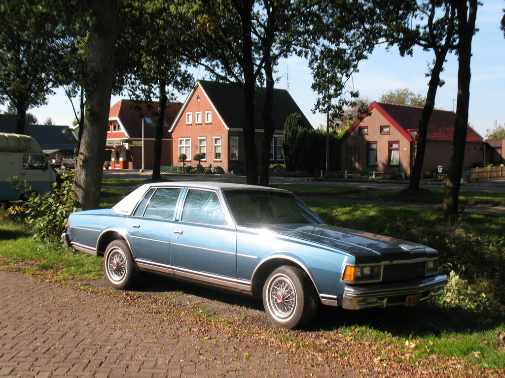 Масло chevrolet caprice