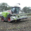 claas jaguar 960 somers (2) - mais 2010