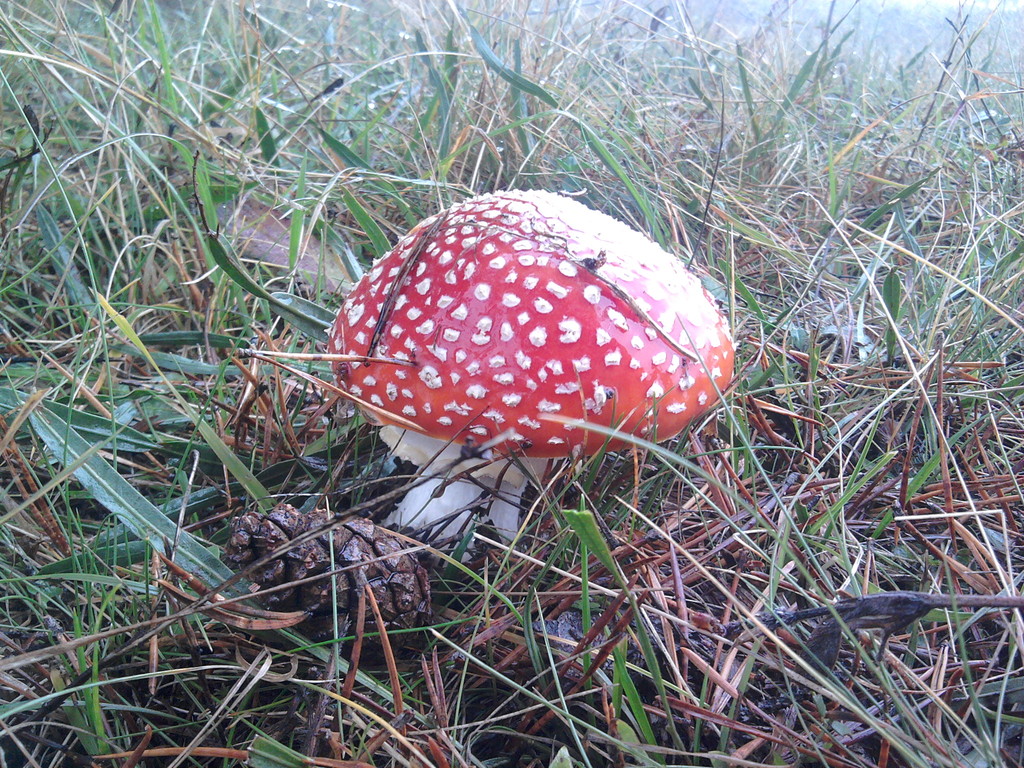 2010-10-16 12.58.49 - 