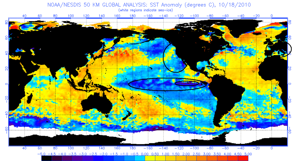 anomnight.10.18.2010 - 