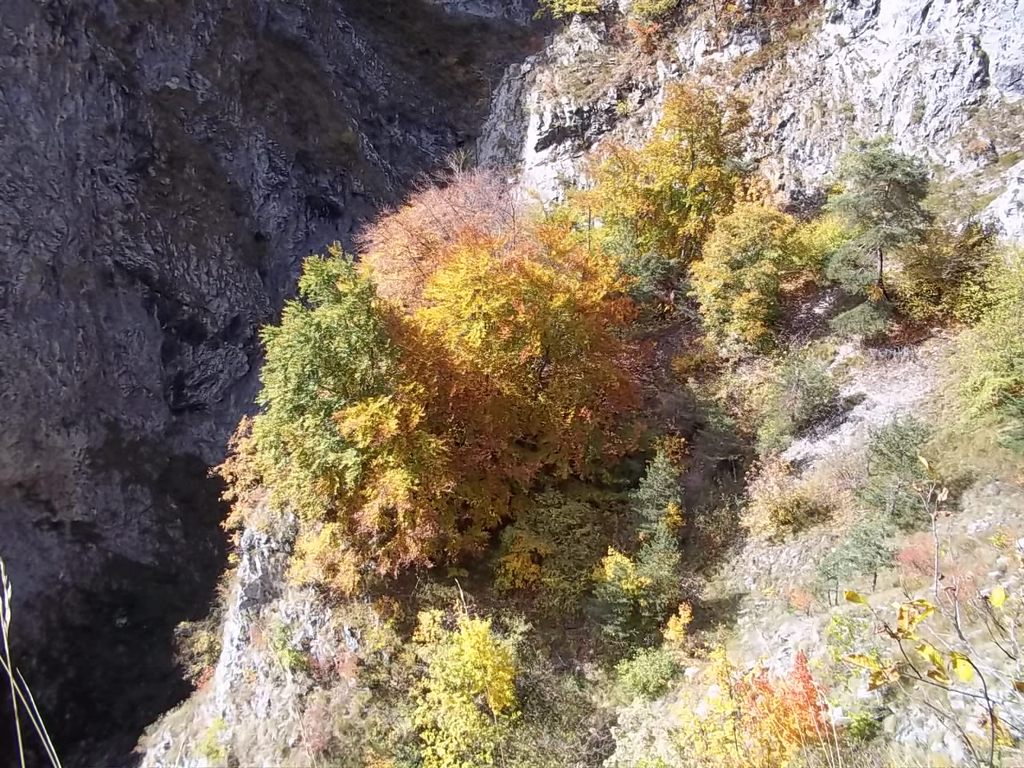 jacol colori autunno 20101018 - 