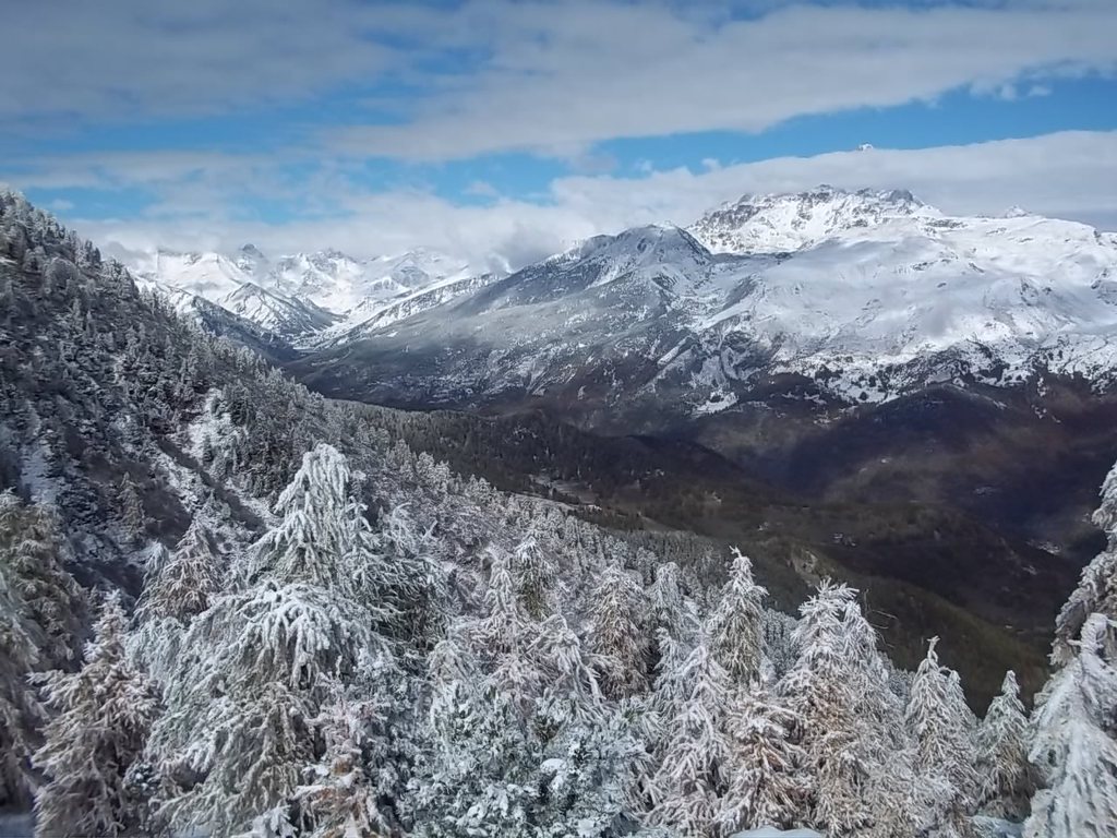 jacol pini incrostati 20101018 - 