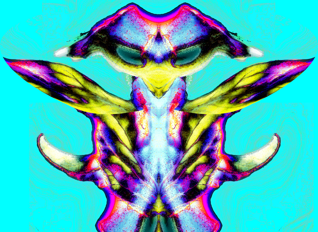 alien Picture Box