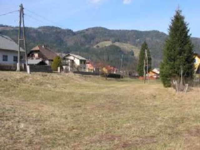 3 - 