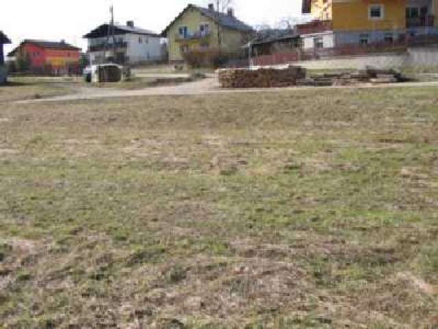 5 - 