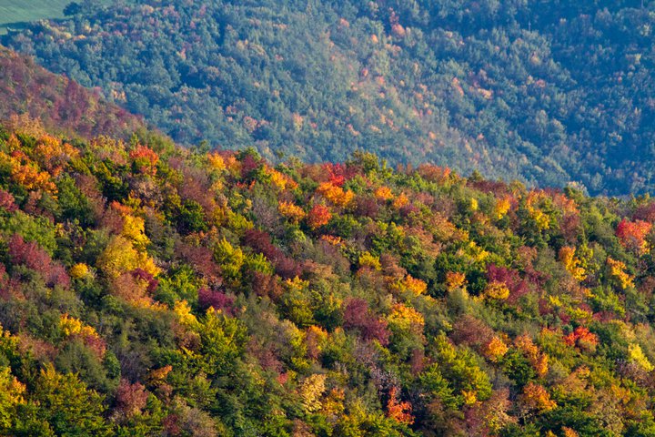 AUTUNNO 2010 APPENNINO MARCHIGIANO - 