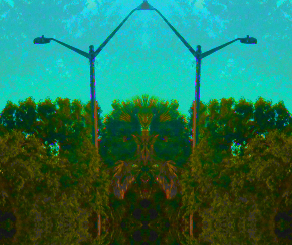 tree reflection mancentered5 Picture Box