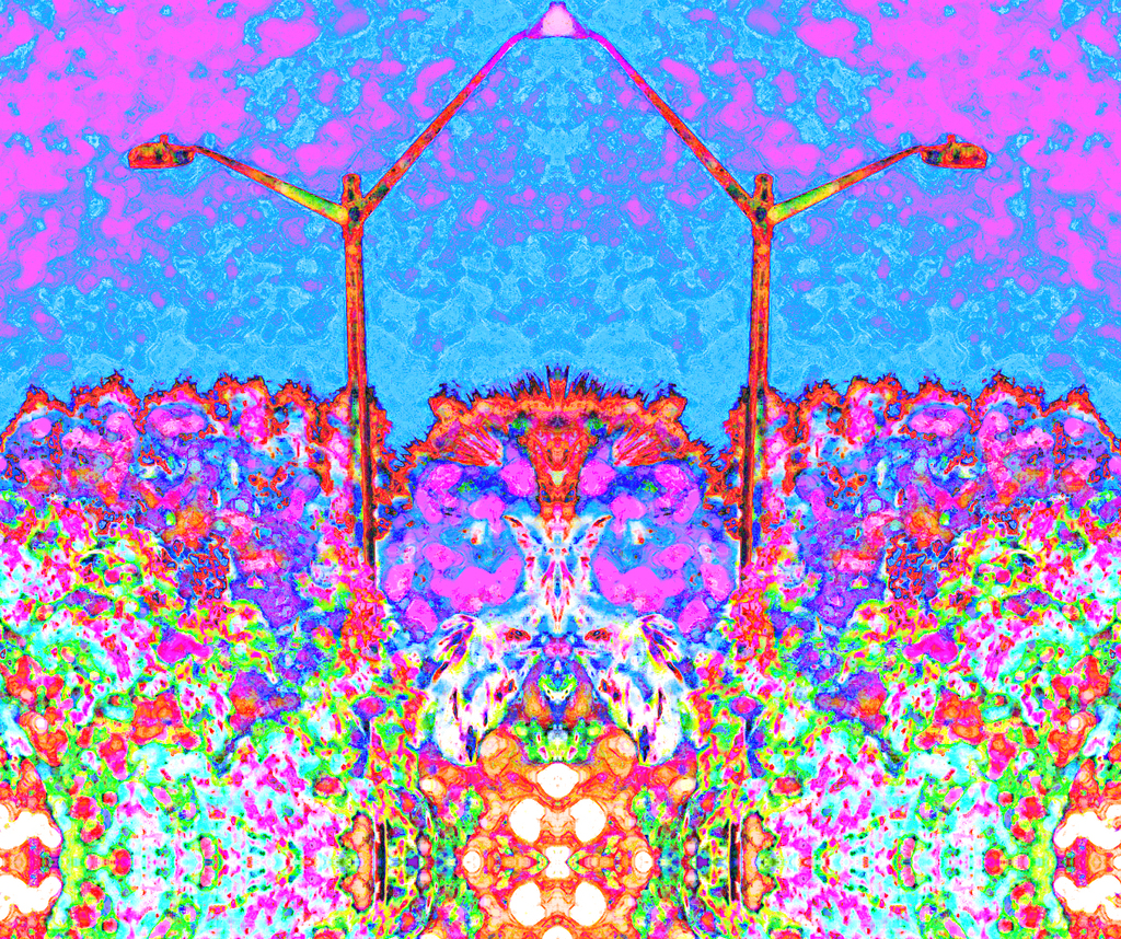 tree reflection mancentered4 Picture Box