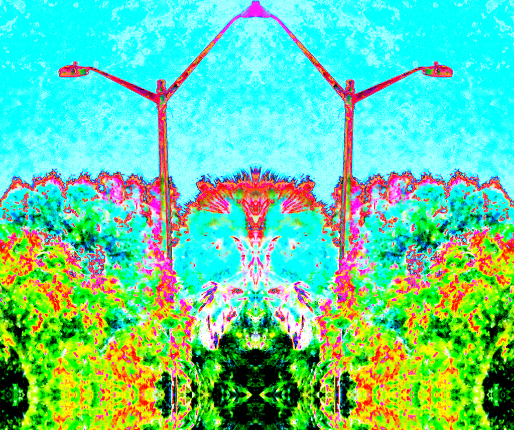 tree reflection mancentered2 Picture Box