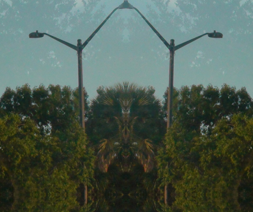 tree reflection mancentered Picture Box