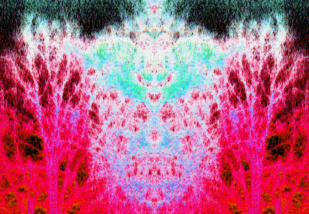 tree skull redness Picture Box