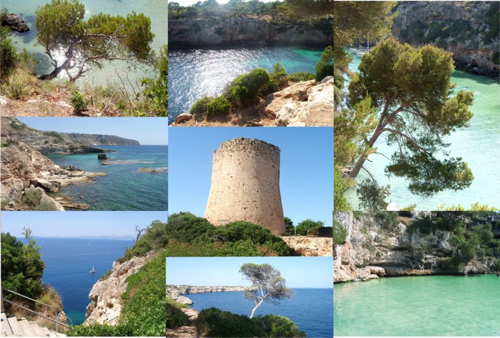 collage palma.jpg2 - 