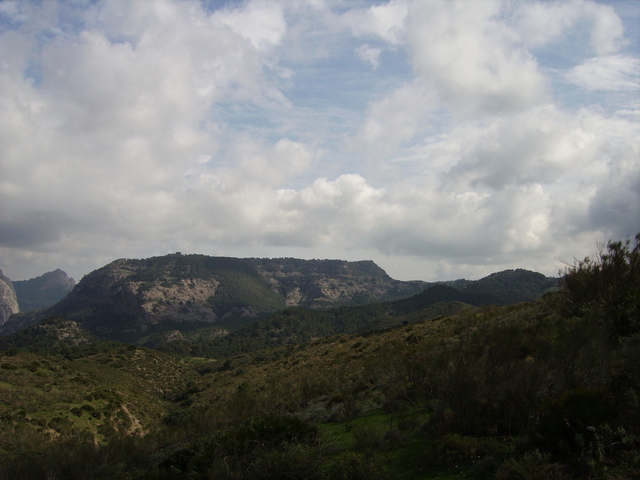 IMGP1930 Spain 2008