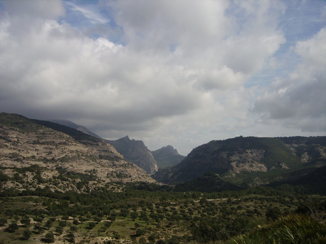 IMGP1942 Spain 2008