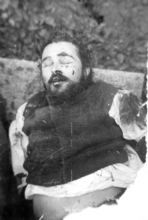 017, Ajdacic mrtav - 