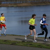 DSC02369 - Brielse Maasloop 2 maart 08