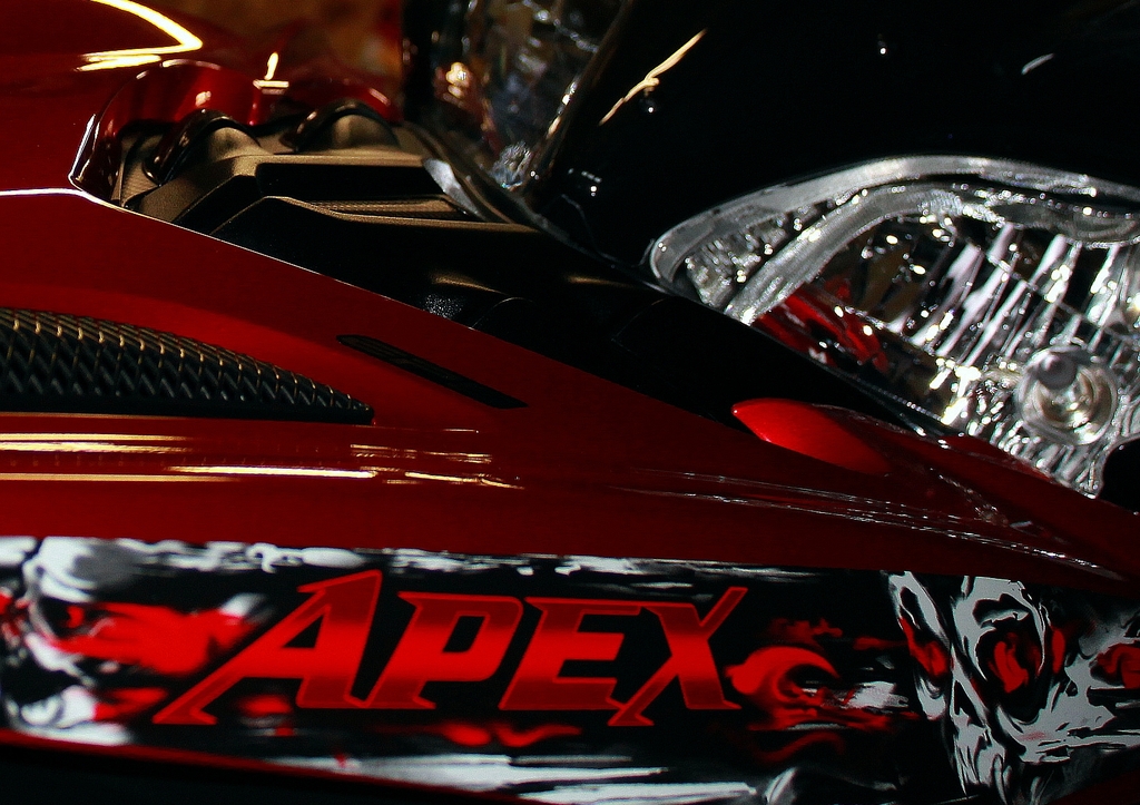 skulls - Picture Box