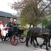 RenÃ© Vriezen 2010-11-20 #0022 - Sinterklaas Optocht Presikh...