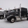 DSC04347 - Trucks