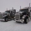DSC04346 - Trucks