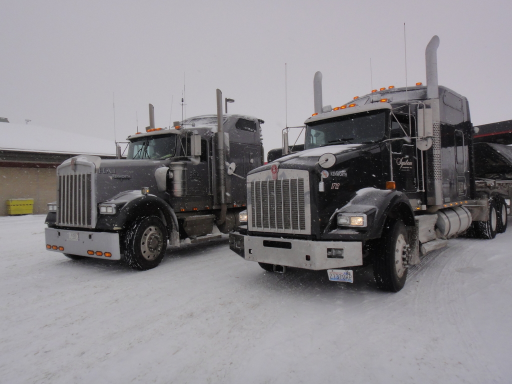DSC04346 - Trucks