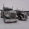 DSC04345 - Trucks