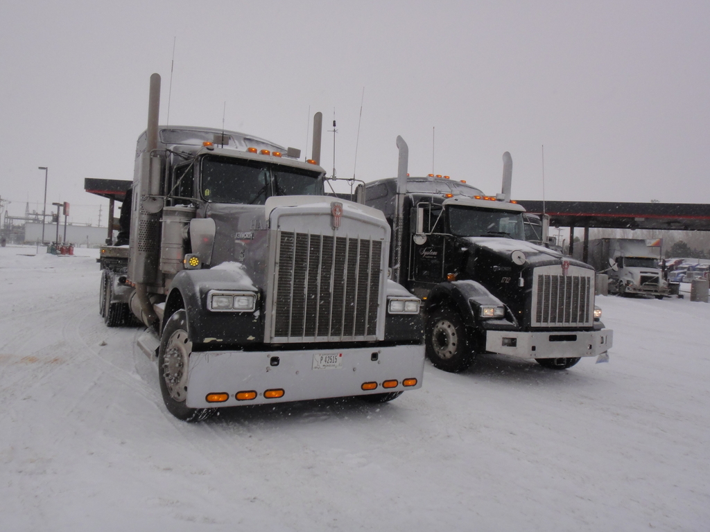 DSC04345 - Trucks
