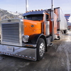DSC04391 - Trucks