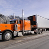 DSC04379 - Trucks